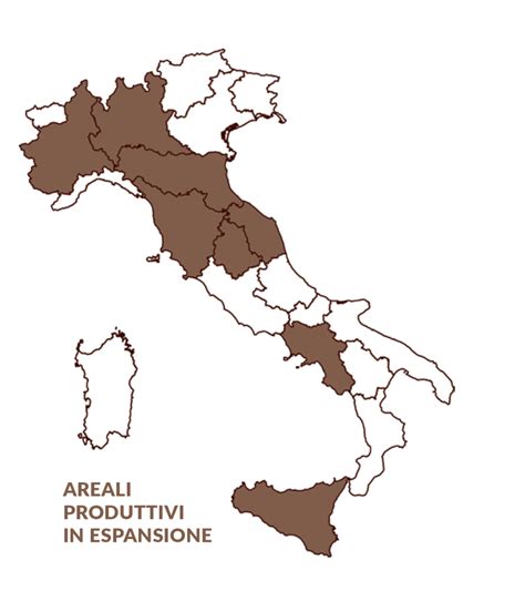 Mappa della produzione di nocciole in Italia