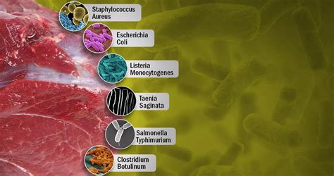 Bacterias comunes en la carne cruda