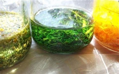 Proceso de maceración de hierbas para Amargo Sueco