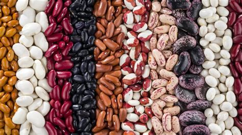 Variedad de alubias de diferentes colores