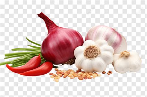 Ajo y cebolla frescos listos para fermentar