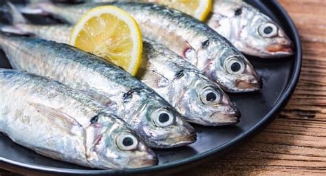 Omega 3 en pescado azul