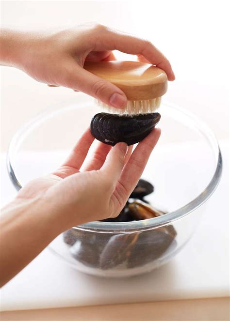 Limpieza de mejillones frescos