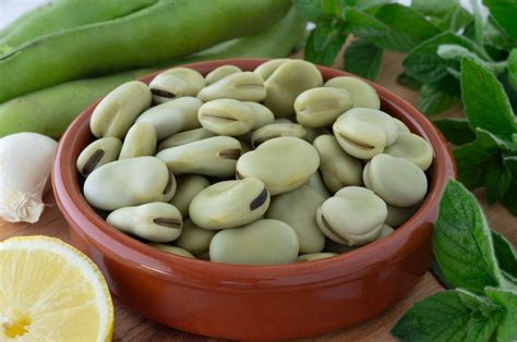 Tarros de habas en conserva caseras