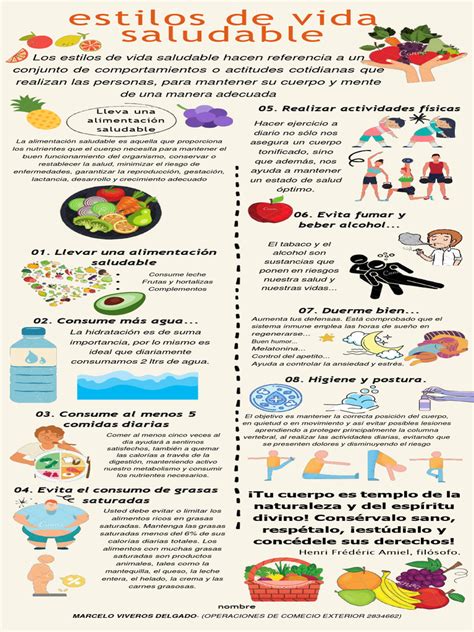 Infografía de estilos de lucha UFC