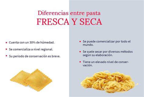 Diferencias entre cuece pastas de pie y de sobremesa
