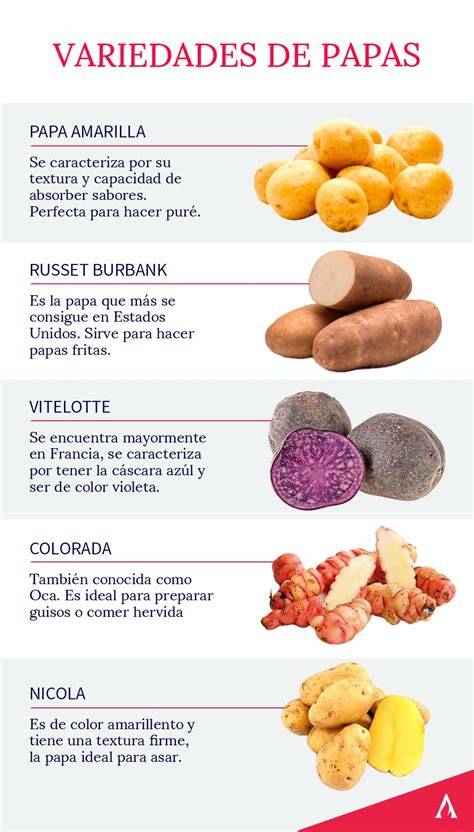 Variedad de preparaciones de papas