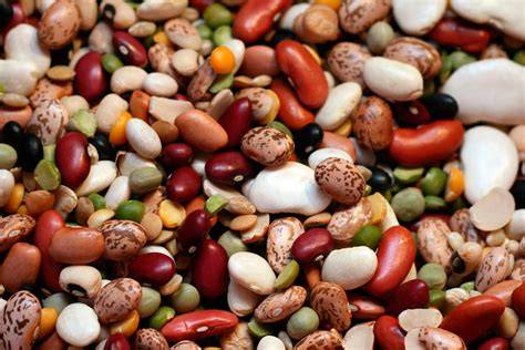 Variedad de frijoles mexicanos
