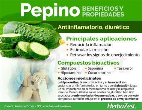 Beneficios del pepino para la salud