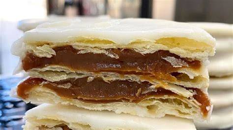 Ilustración de un alfajor santafesino cortado mostrando sus capas y relleno