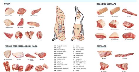 Ilustración de las diferentes partes del costillar de la res