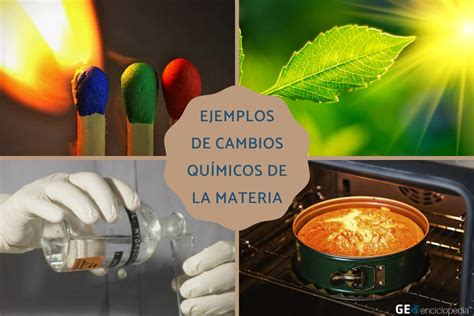 Esquema de las transformaciones químicas y físicas durante la cocción