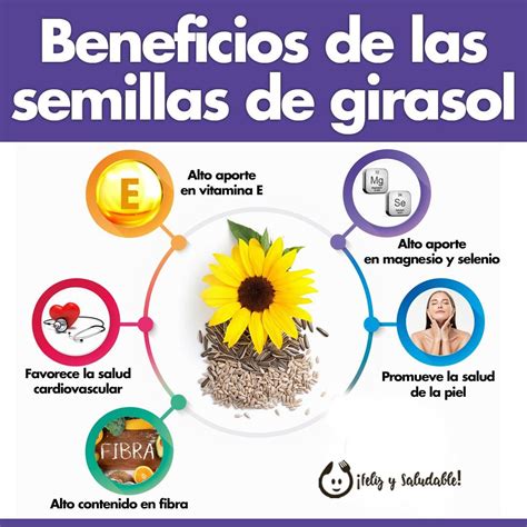 Infografía de los beneficios de diferentes semillas