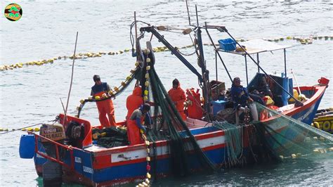 Pescadores en un puerto portugués con barcos de pesca