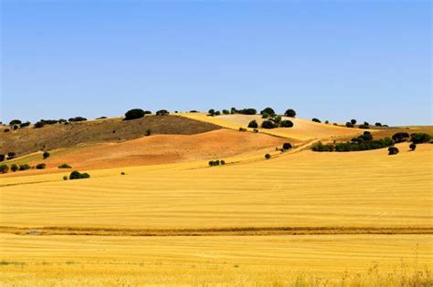 Paisaje de pastizales de secano en La Serena, Extremadura