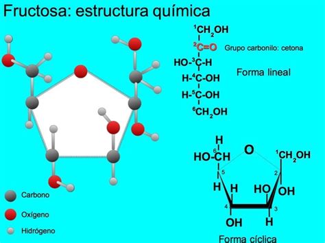 Esquema de la composición química de la fructosa y la glucosa