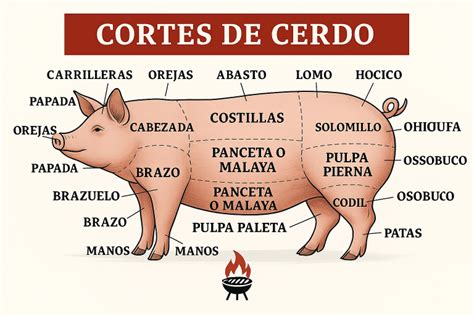 Ilustración de un cerdo con sus principales cortes marcados