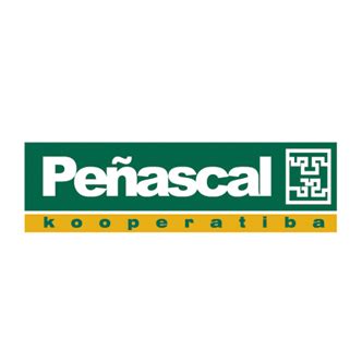 Logo de Peñascal Scoop