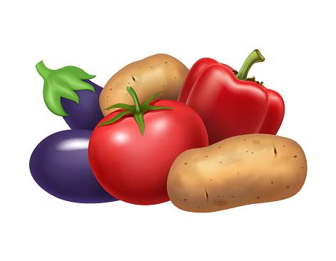 Ilustración de diferentes solanáceas: tomate, berenjena, patata, pimientos