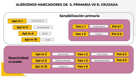 Diagrama de reactividad cruzada entre solanáceas, pólenes y látex