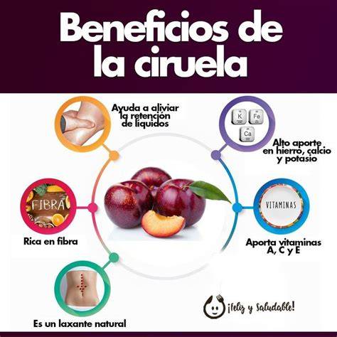 Esquema de los beneficios de la ciruela umeboshi