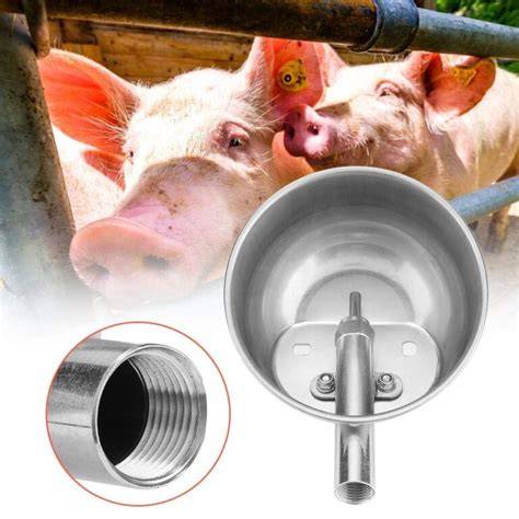 Tipos de bebederos para cerdos según la etapa de desarrollo