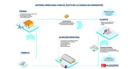 Esquema de la cadena de suministro de pescado congelado