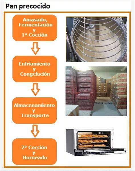 Esquema del proceso de cocción del pan