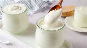 Yogurtería para hacer yogur casero