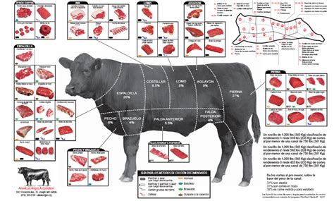 Mapa de cortes de res