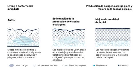 Proceso de estimulación de colágeno por hidroxiapatita cálcica