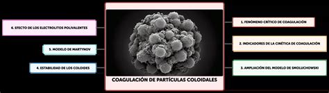Mecanismo de coagulación de las partículas de caucho del látex