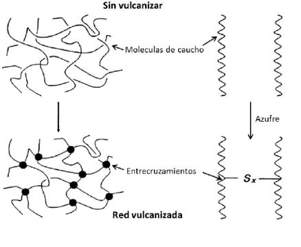 Esquema de la vulcanización del caucho