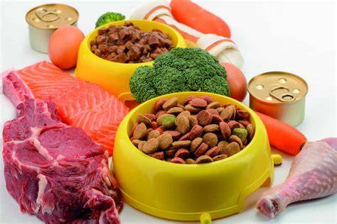 Comparativa de ingredientes en alimentos para perros
