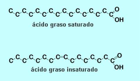 Estructura de ácidos grasos saturados e insaturados