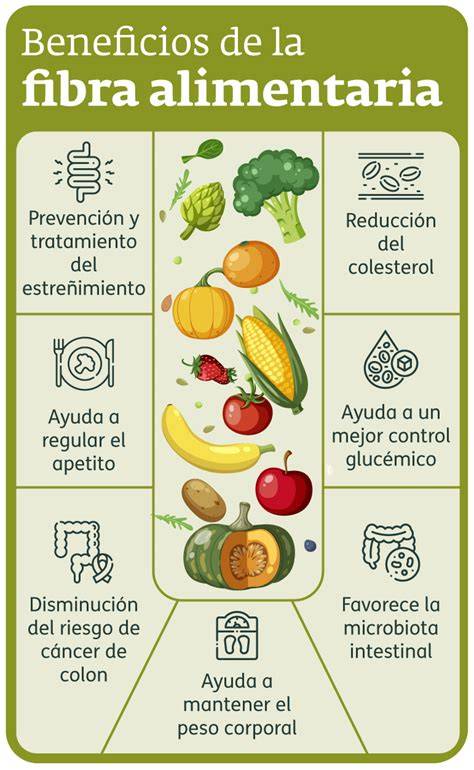 Infografía sobre los beneficios de la fibra en la dieta