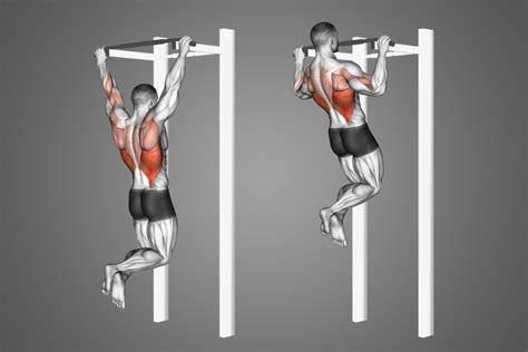Gráfico comparativo de dominadas estrictas y kipping