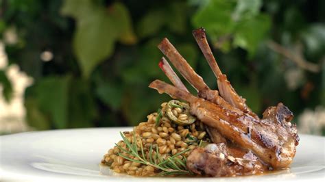 Plato de cabra guisada con aromáticas y ensalada de trigo