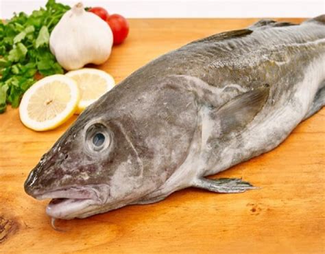 Pescado bacalao fresco
