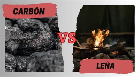 Tipos de combustibles para barbacoas: carbón y leña
