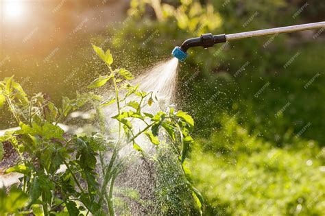 Pulverización de plantas con leche