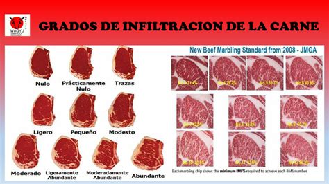 Corte de carne Wagyu con su característica infiltración de grasa