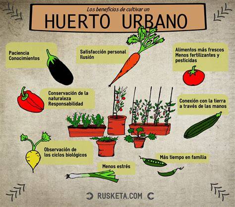 Esquema de un huerto urbano en casa