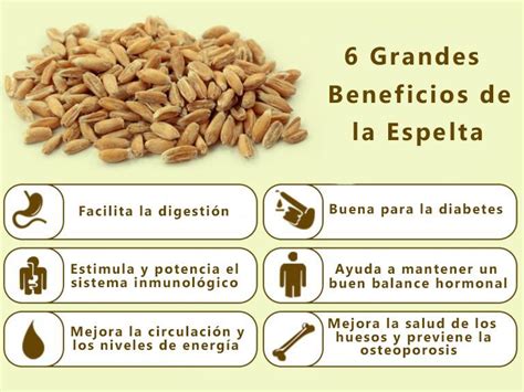 Espelta y sus propiedades