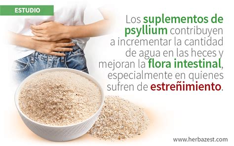 Infografía sobre los beneficios del psyllium para la salud