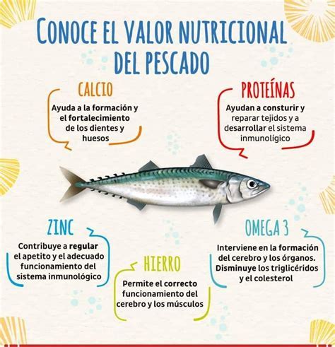 Infografía del valor nutricional del bacalao