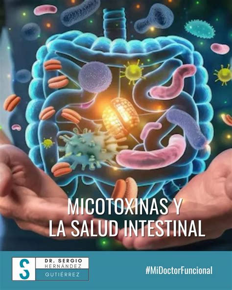 Microorganismos fúngicos relevantes en salud humana