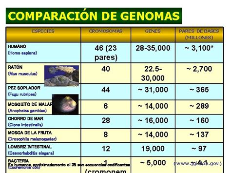 Comparación de genomas de levaduras