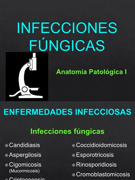 Resultados de infecciones fúngicas en modelos murinos