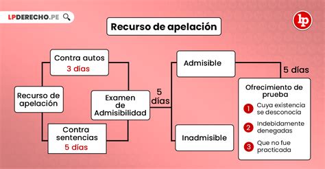 Esquema de las etapas de un recurso de apelación